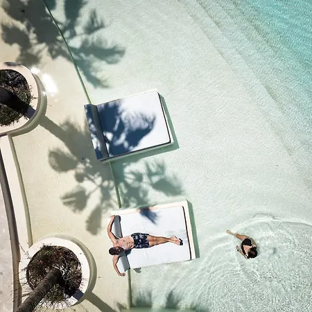 Meravia Leonardo Limited Edition - Adults Only 5*